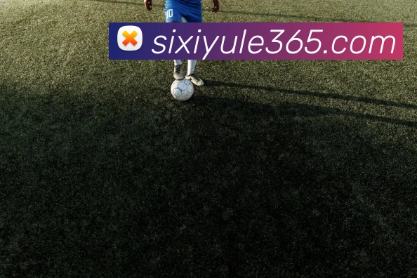 四喜娱乐365服务体系